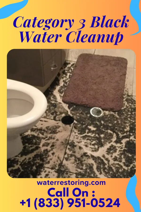 Category 3 Black Water Cleanup in Madrone, NM