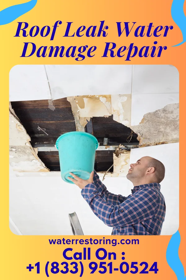 Roof Leak Water Damage Repair in Madrone, NM